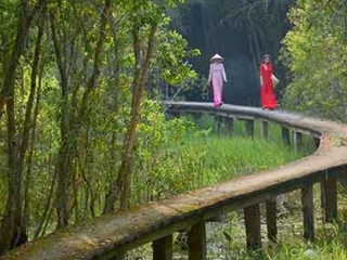 TOP 15+ ĐỊA ĐIỂM PICNIC GẦN TPHCM CÓ THỂ BẠN CHƯA BIẾT