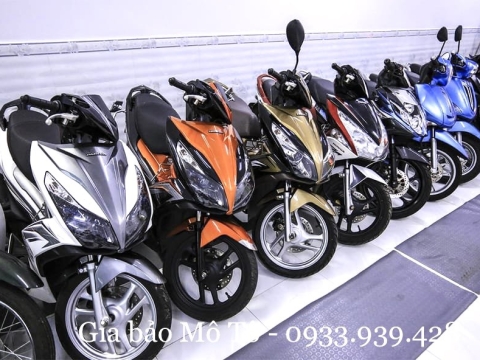 Thư viện hình ảnh (1)